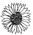 logo-gruppo